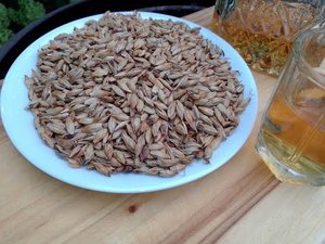 Мацерат из ячменного солода. Как домашний  виски.