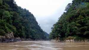 Южная Америка. Река Амазонка. География - легко!