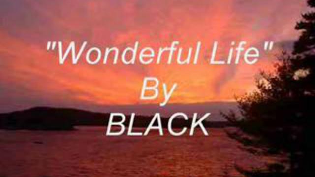 Black wonderful