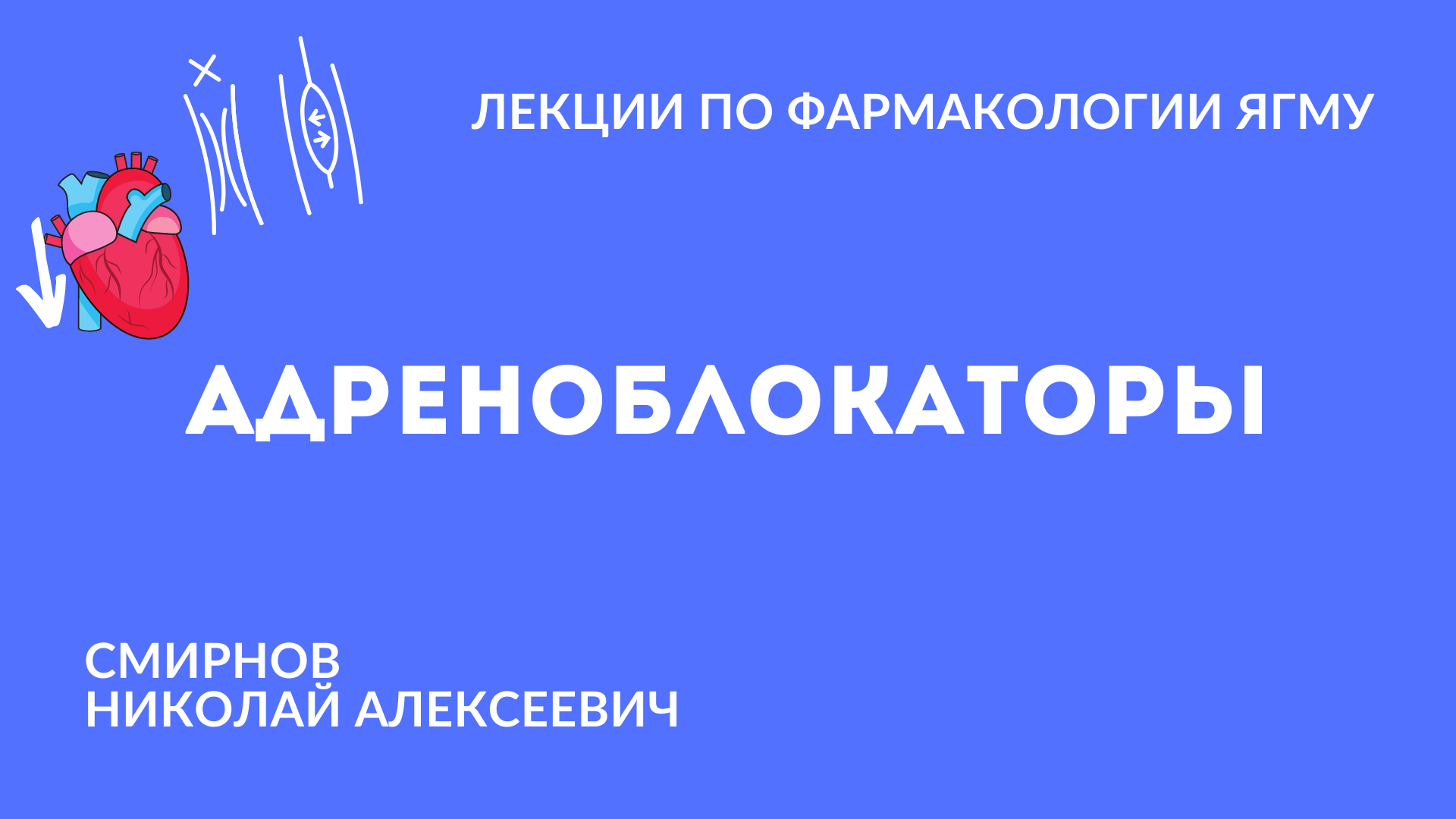 Адреноблокаторы |  Медиаторная фармакология
