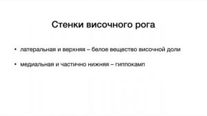 Боковые желудочки - анатомия центральной нервной системы (ЦНС)