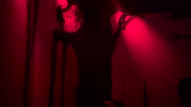 The Exorcist: Believer Halloween Horror Nights 2023 Universal Studios Hollywood смотреть онлайн