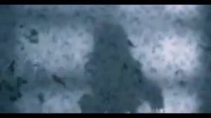 Горячий шоколад :Стены 😄😄😄