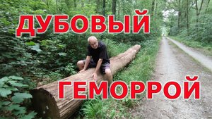 Как сделать массивный стол из 100 летнего дуба