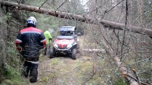 Сравнение проходимости cf moto z8 с лифтом и без (дерево)