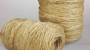 The many Uses of Sisal plant