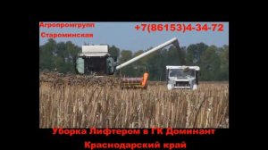 Лифтер для уборки подсолнечника Агропромгрупп Староминская