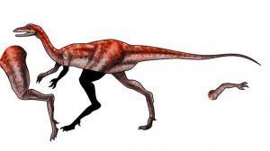 Dinosaurs | 불카노돈외 5종류 공룡 알아보기 | Dinosaur Game | dinosaur study | 공룡퍼즐게임 | 새로운 공룡 알아보기