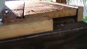 Колоды #2 и #3. Колодное пчеловодство