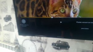 КАК ПРОПУСТИТЬ РЕКЛАМУ НА YOUTUBE / РАБОЧИЙ СПОСОБ