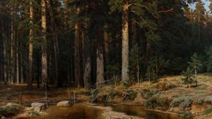 Сочинение по картине «Корабельная роща» И. Шишкина