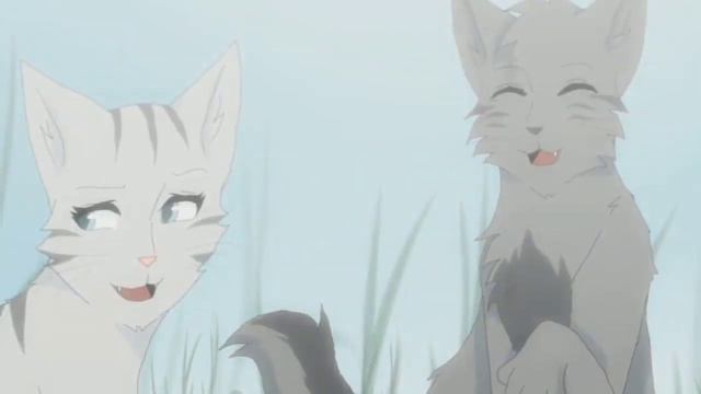 [Коты Воители] Крутобок и Серебрянка - Сдавайся {Заказ}