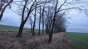 ОХОТА НА ЗАЙЦА с дратхааром 2021