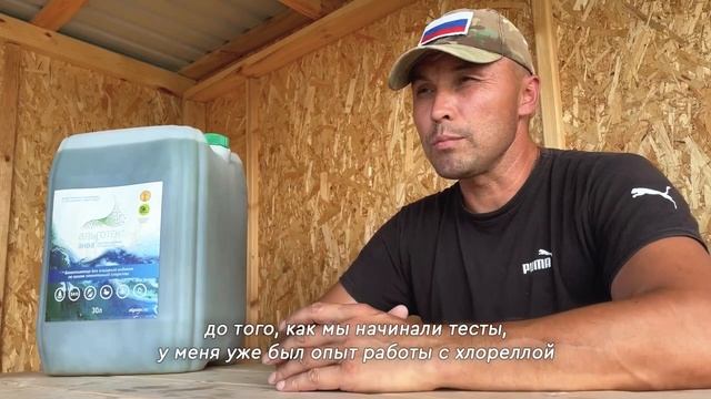 Очистка водоема хлореллой за сезон. ДО / ПОСЛЕ #технологияальготек смотреть онлайн