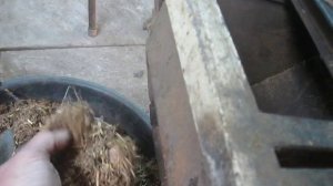 ЗАЧЕМ НУЖЕН ИЗМЕЛЬЧИТЕЛЬ ВЕТОК С МЕЛКОЙ ФРАКЦИЕЙ ?