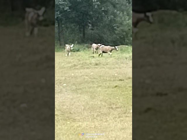 15 сентября 2022 г. смотреть онлайн