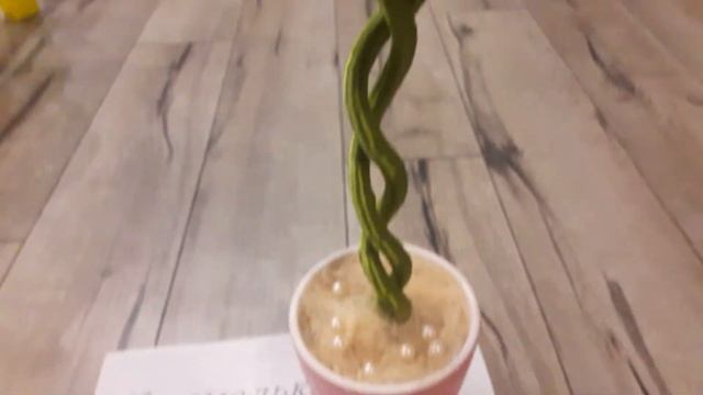 Топиарий с розами. смотреть онлайн