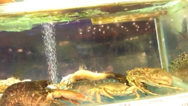 Гуанчжоу, Китайский ресторан морепродуктов