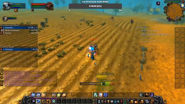 Wow classic #4