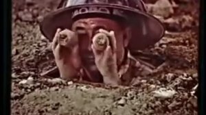 Узбекские прикол