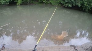 Ловлю КАРАСЕЙ на Снасть "БУЛАВКА" на ДИКОЙ РЕЧКЕ!!!