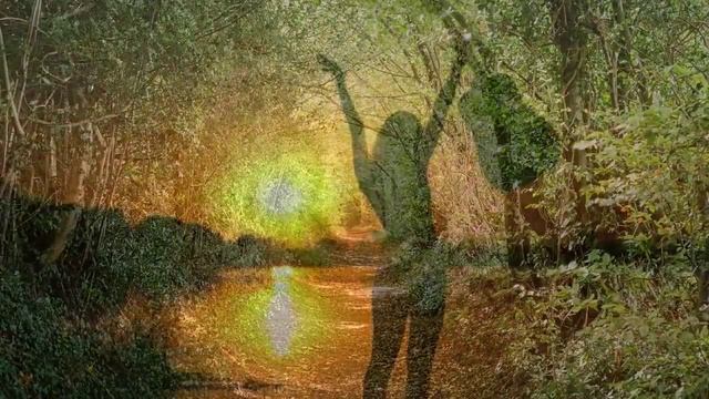 Música Relajante Guitarra Música Tranquila Relajarse Música Meditación Música de Fondo 2913