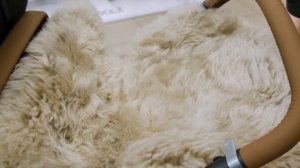 Топ 5 зимних аксессуаров для коляски