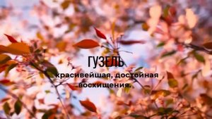 Мусульманские имена для девочек и их значение Красивые имена