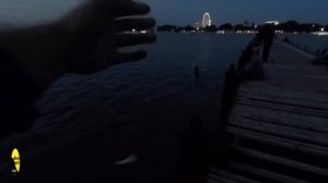 ЖОР СТАВРИДЫ, МОРСКАЯ РЫБАЛКА В МАЕ  #fishing #рыбалка #море #ставрида #барабуля