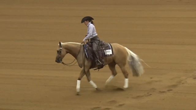 201003 Non Pro Futurity Karie Tucker on Git My Shine On смотреть онлайн