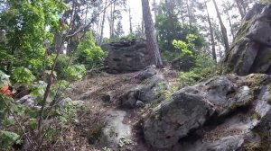 Поход по Сызранским лесам. Рачейские скалы, 7 ключей, Малоусенские нагорные сосняки и дубравы