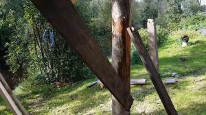 СТОЮ БАНЮ ПО ЦЕНЕ ДРОВ БЮДЖЕТНАЯ СВОИМИ РУКАМИ.