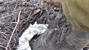 Как избавиться от муравьев в огороде СУПЕР ЭФФЕКТИВНОЕ СРЕДСТВО