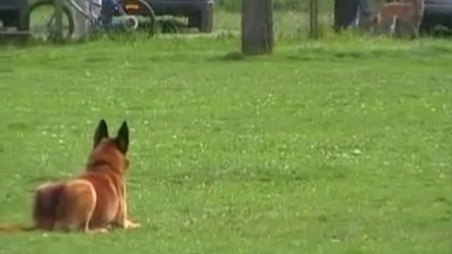 Championat de France RCI - J. BRUNA - OB смотреть онлайн