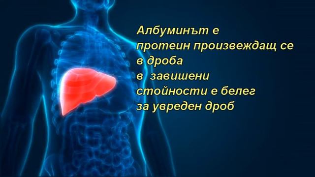 Чернодробни ензими - учебно видео смотреть онлайн