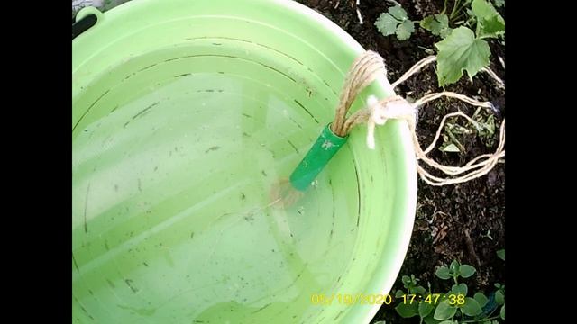 ПОЛИВ РАСТЕНИЙ В ТЕПЛИЦЕ ДОЖДЕМ С ЕЕ КРЫШИ смотреть онлайн