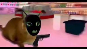 Шлёпа_ограбление_Пятёрочки