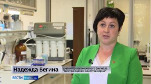 Воронежский филиал «Центр оценки качества зерна» продолжает исследовать собранный урожай
