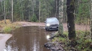 12.11.2023. Заплывы Рав4