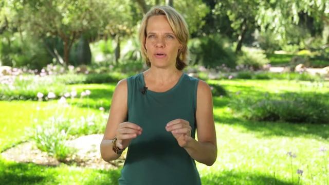 The quivering commentary смотреть онлайн