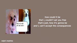 nicopatty - dating start (lyrics)