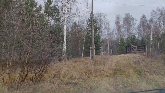 Макковеево. Касимовский р-н. Рязанская обл