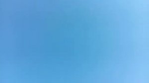 Ижевские голуби. Летние полёты 2021