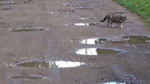 Видеокамера Sony HDR-CX620 + Сравнение с Panasonic HC V760EE + Совет по выбору камеры