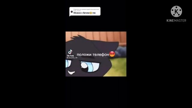 Коты воители из тик тока Бич смотреть онлайн