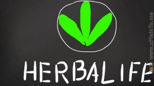 Про бизнес с Herbalife