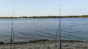 Рыбалка на Сало и Пенопласт с Чесноком Лещ Плотва | fishing for bacon
