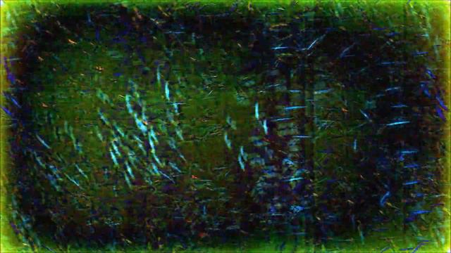 Математическая Фурье медитация. В мире животных смотреть онлайн