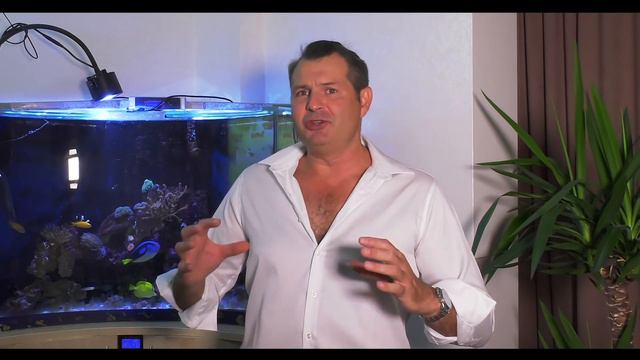 США. Почему люди не возвращаются из Америки? Жизнь в США и Канаде - АЛЕКС БРЕЖНЕВ ВЛОГ смотреть онлайн