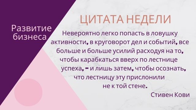 Цитата недели смотреть онлайн